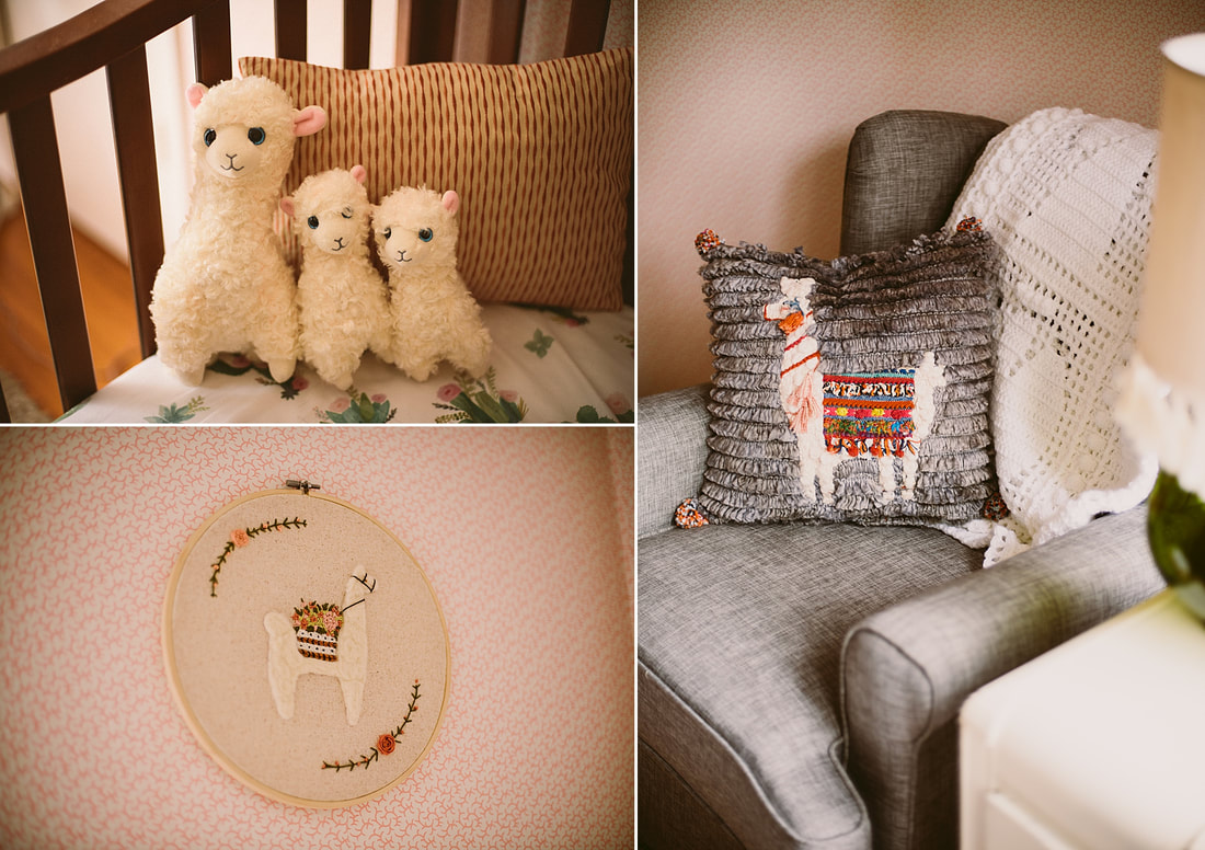Nursery details during an at-home newborn session in Roanoke, Virginia by Laura Richards Photography