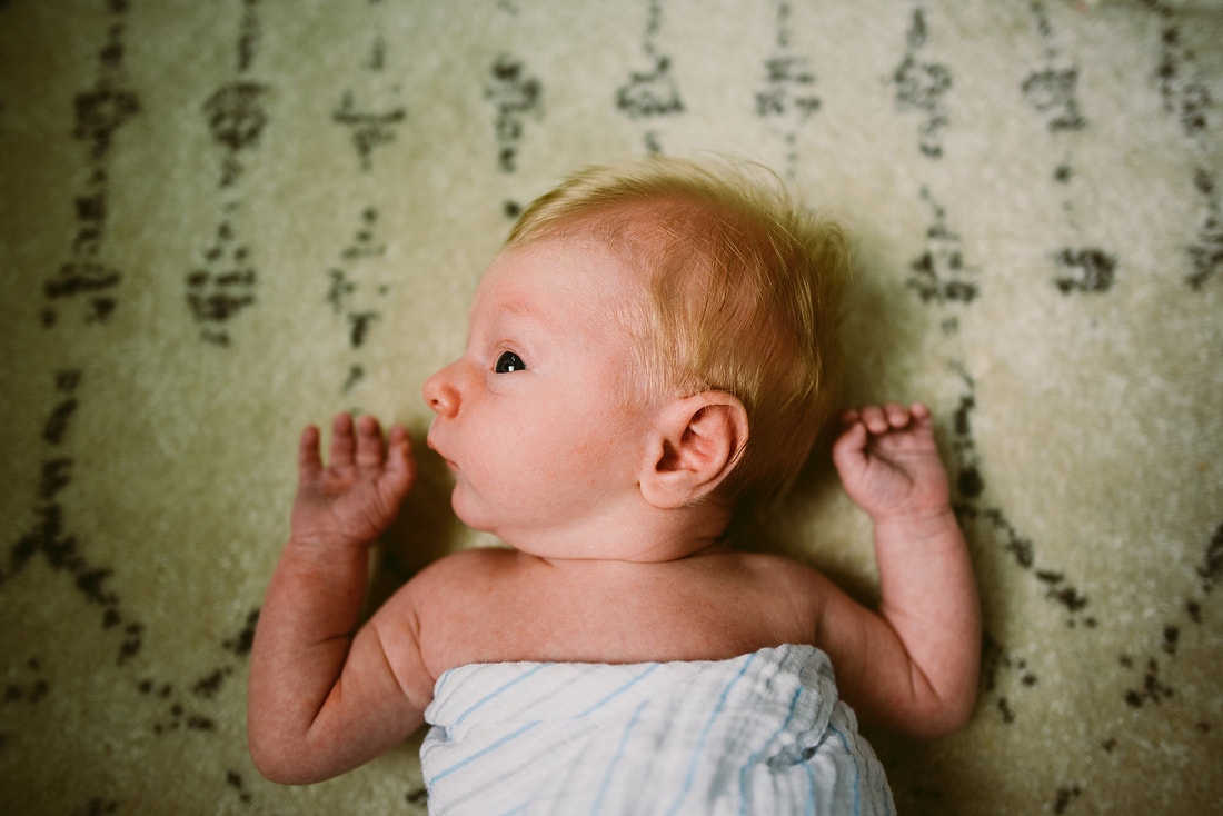 Newborn baby portrait by Laura Richards in Charlottesville Virginia