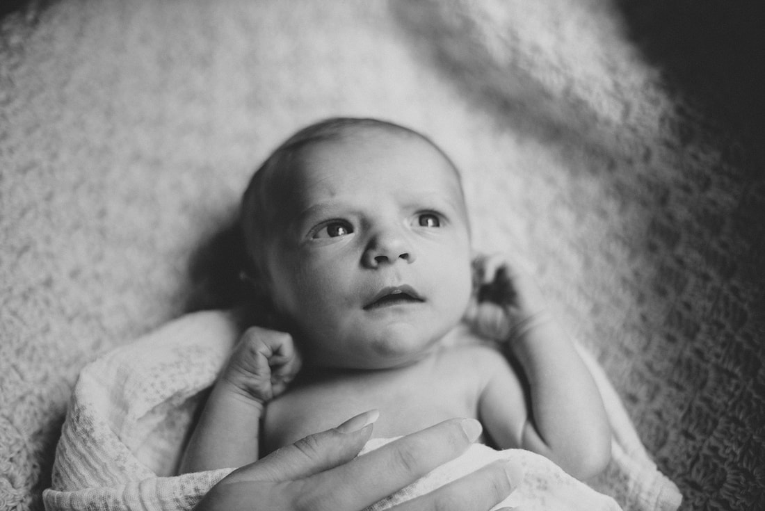 Black-and-white portrait of a baby boy during his at-home newborn session by Laura Richards Photography