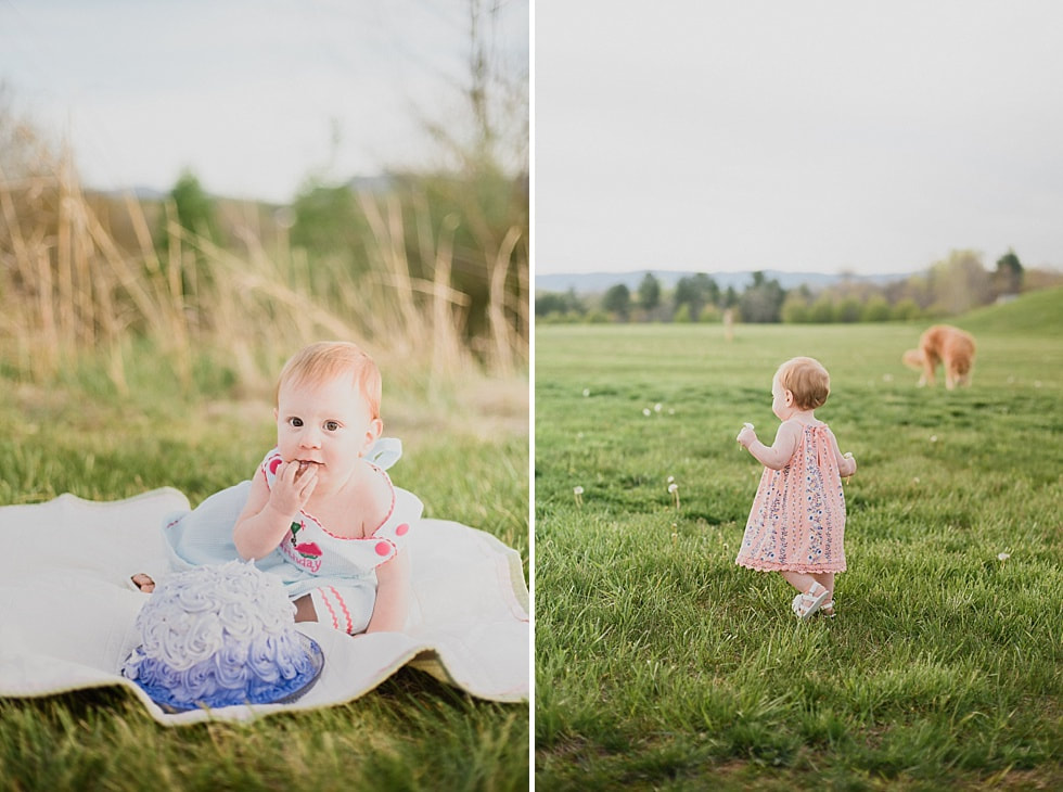 Roanoke Family Photography Session at Greenfield Recreation Park in Botetourt, Virginia
